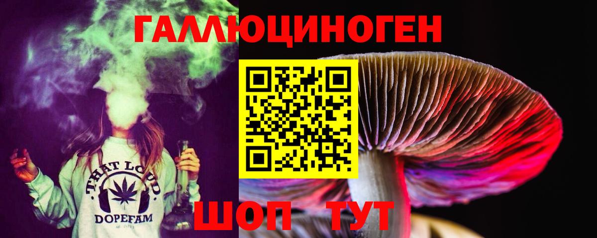 Маркс  купить   Вход с VPN  Галлюциногенные грибы Cubensis 